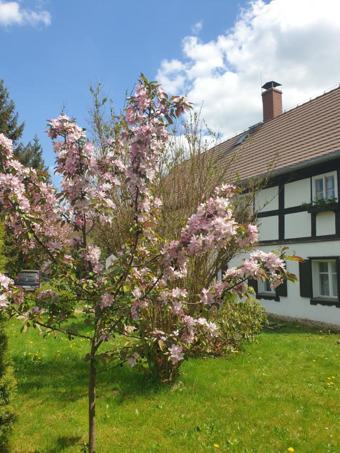 Lusatia Farm Lesna  Exterior photo