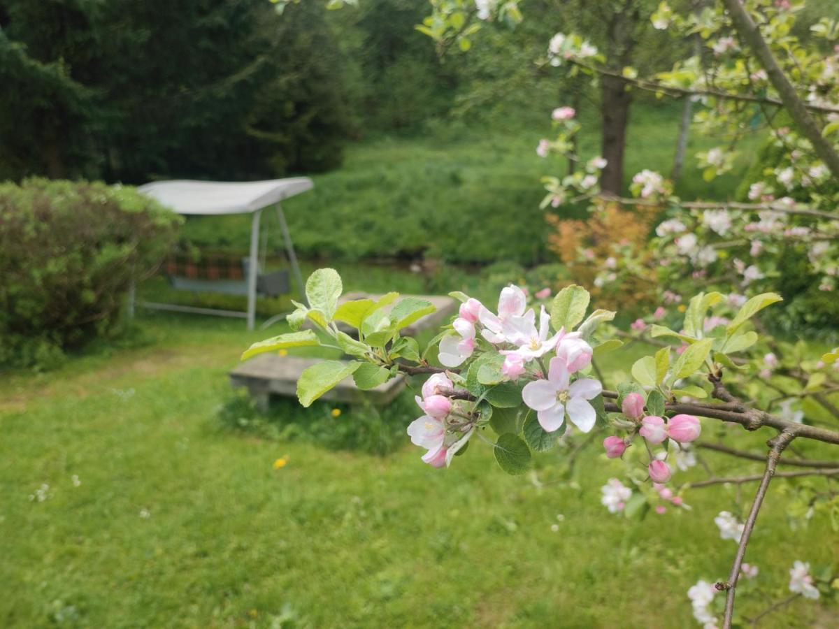 Lusatia Farm Lesna  Exterior photo