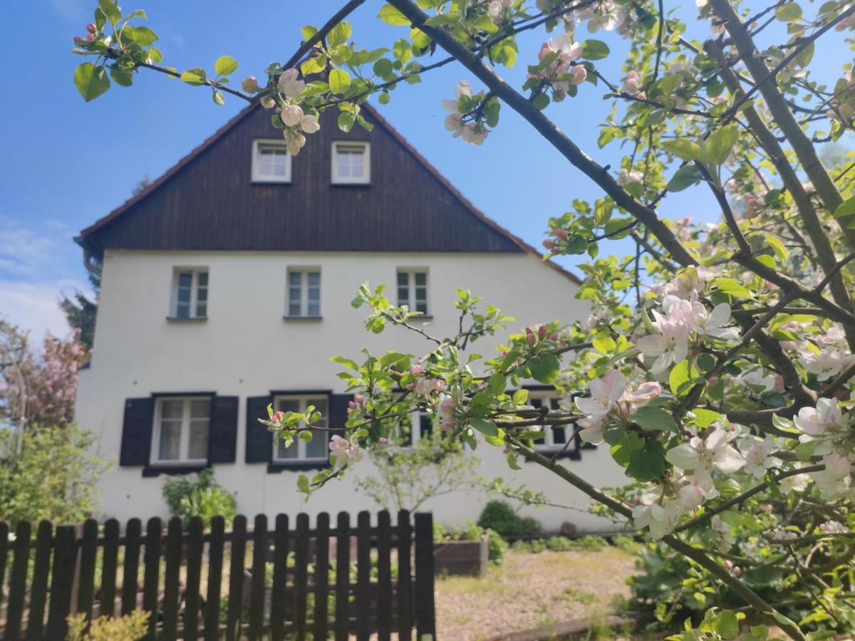 Lusatia Farm Lesna  Exterior photo