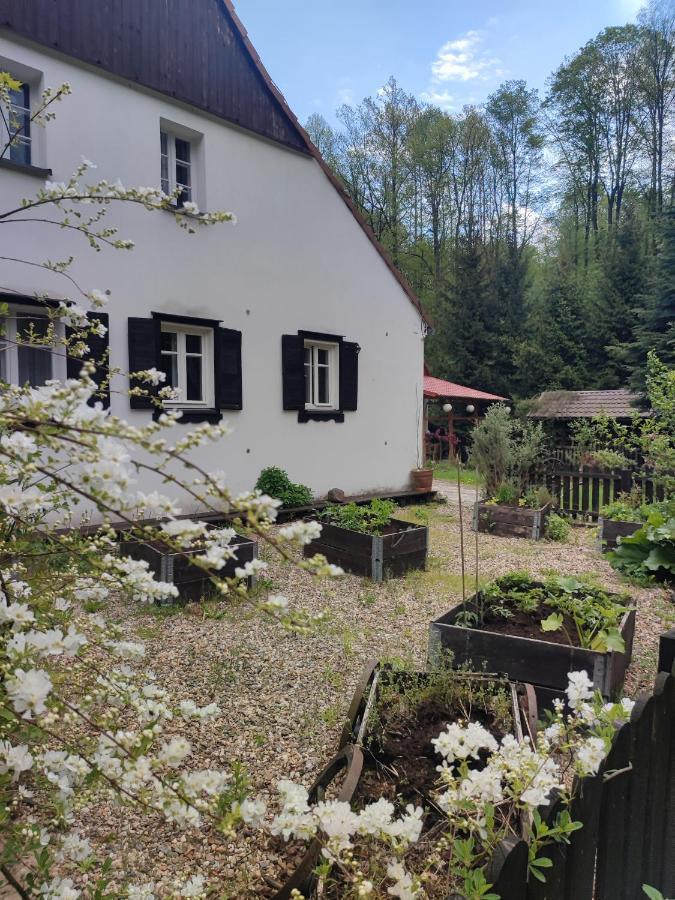 Lusatia Farm Lesna  Exterior photo