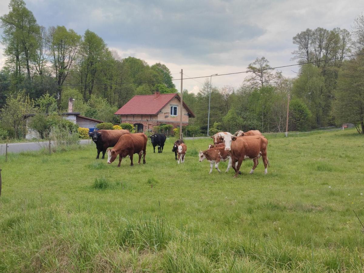 Lusatia Farm Lesna  Exterior photo