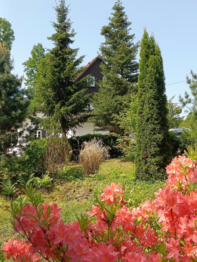 Lusatia Farm Lesna  Exterior photo