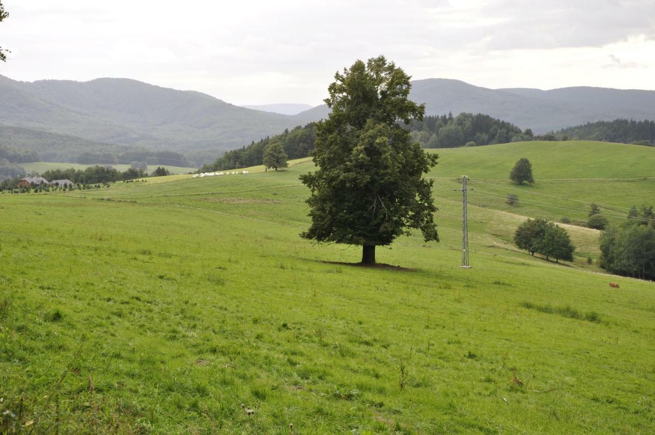 Lusatia Farm Lesna  Exterior photo